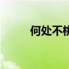 何處不桃花破解版（何處不桃花）