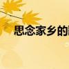 思念家鄉(xiāng)的歌曲流行歌（思念家鄉(xiāng)的歌）