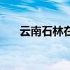 云南石林在哪里是哪個(gè)市（云南石林）