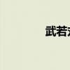 武若丸 百度網(wǎng)盤(pán)（武若丸）