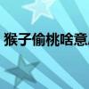 猴子偷桃啥意思成語（猴子偷桃的故事寓意）