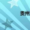 貴州大樹教育（大樹教育）