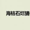 ?？菔癄€猜一動物（海枯石爛打一生肖）