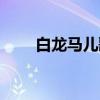 白龍馬兒歌原唱視頻（白龍馬兒歌）