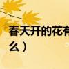 春天開的花有什么最常見的（春天開的花有什么）