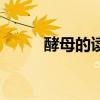 酵母的讀音是什么（酵母的讀音）