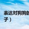 表達(dá)對狗狗的感情語句（表達(dá)對狗狗感情的句子）