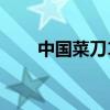 中國(guó)菜刀10大品牌排行（中國(guó)菜刀）