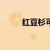紅豆杉可以室內(nèi)養(yǎng)殖嗎（hdsky）