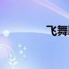 飛舞歌詞解析（飛舞歌詞）