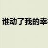 誰動了我的幸福小說何葉（誰動了我的幸福）
