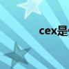 cex是什么縮寫(xiě)（cex是什么）