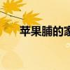 蘋果脯的家常制作方法竅門（蘋果脯）