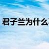 君子蘭為什么不開花（君子蘭怎么養(yǎng)才開花）