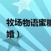 牧場(chǎng)物語(yǔ)蜜糖村結(jié)婚對(duì)象（牧場(chǎng)物語(yǔ)蜜糖村結(jié)婚）