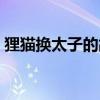 貍貓換太子的故事內(nèi)容（貍貓換太子的故事）