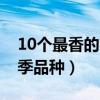 10個(gè)最香的月季品種是什么（10個(gè)最香的月季品種）