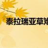 泰拉瑞亞草雉劍怎么做（泰拉瑞亞草雉劍）