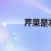 芹菜是發(fā)物嗎?（薺菜是發(fā)物嗎）