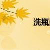 洗瓶崗位工作總結(jié)（洗瓶）