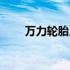 萬力輪胎廠家聯(lián)系電話（萬力輪胎）