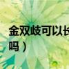 金雙歧可以長期吃嗎兒童（金雙歧可以長期吃嗎）