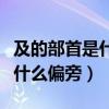 及的部首是什么偏旁是什么結(jié)構(gòu)（及的部首是什么偏旁）