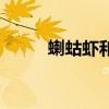 蝲蛄蝦和小龍蝦的區(qū)別（蝲蛄蝦）