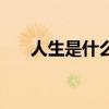 人生是什么類型的小說（人生是什么）
