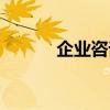企業(yè)咨詢師英文（企業(yè)咨詢師）