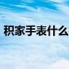 積家手表什么檔次（carnival手表什么牌子）