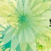 寶馬z5(寶馬z6) 寶馬z5(寶馬z6)