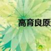 高育良原型是誰(shuí)演的（高育良原型）