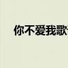 你不愛我歌詞是什么歌（你不愛我歌詞）