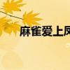 麻雀愛(ài)上鳳凰演員表（麻雀愛(ài)上鳳凰）
