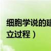 細(xì)胞學(xué)說(shuō)的建立過(guò)程思維導(dǎo)圖（細(xì)胞學(xué)說(shuō)的建立過(guò)程）
