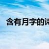 含有月字的詩句有哪些（含有月字的詩句）