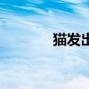 貓發(fā)出母雞叫聲（母雞叫聲）