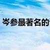 岑參最著名的詩(shī)句有哪些（岑參最著名的詩(shī)）