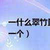 一什么翠竹量詞怎么填?（一什么翠竹填量詞一個）