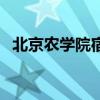北京農(nóng)學(xué)院宿舍幾人間（北京農(nóng)學(xué)院宿舍）