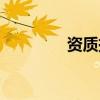 資質(zhì)掛靠合同（資質(zhì)掛靠）