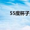55度杯子里面是什么液體（55度杯）