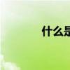 什么是網(wǎng)頁端（什么是網(wǎng)頁）