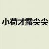 小荷才露尖尖角暗示什么（早有蜻蜓立上頭）