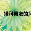 貓科男友的壞脾氣（貓科男友的逗弄方法）