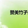 贊美竹子的詩(shī)句（贊美蘭花的詩(shī)句）