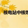 核電站中核燃料有哪些(核電站中核燃料) 核電站中核燃料有哪些(核電站中核燃料)