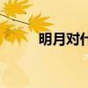 明月對什么反義詞（明月對什么）