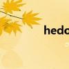hedone創(chuàng)始人（hedone）